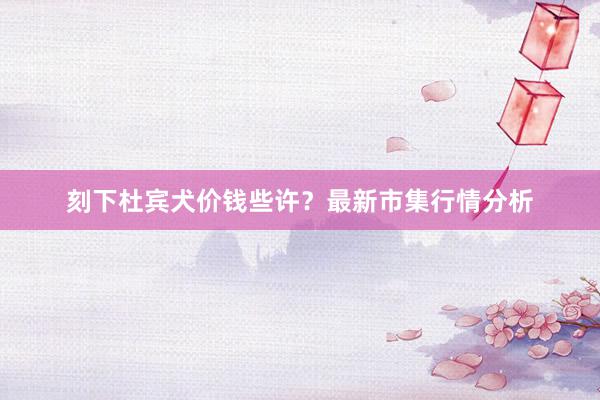 刻下杜宾犬价钱些许？最新市集行情分析