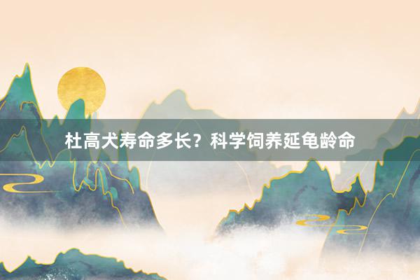 杜高犬寿命多长？科学饲养延龟龄命